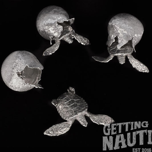 Getting Nauti With Sea Turtle Hatchlings and Conservation
